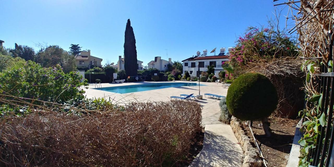 'Chez Antoine' Pool-View 5Min From Sea Apartment Paphos Ngoại thất bức ảnh